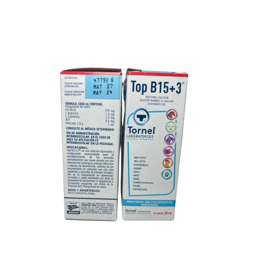 Top B15+3