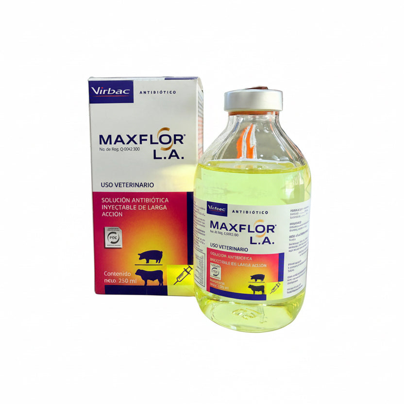 Maxflor L.A.