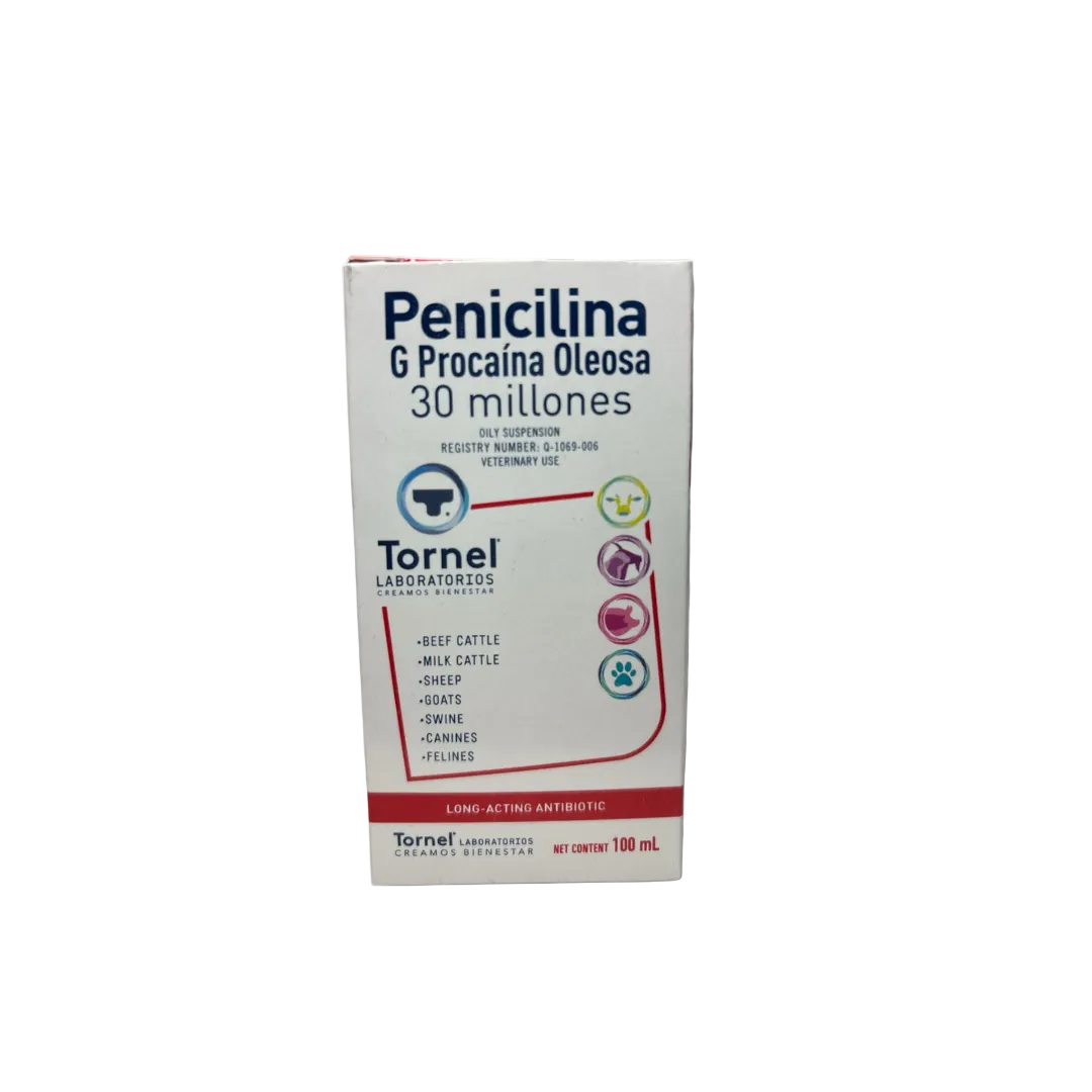 Procaine Penicillin G in Oil