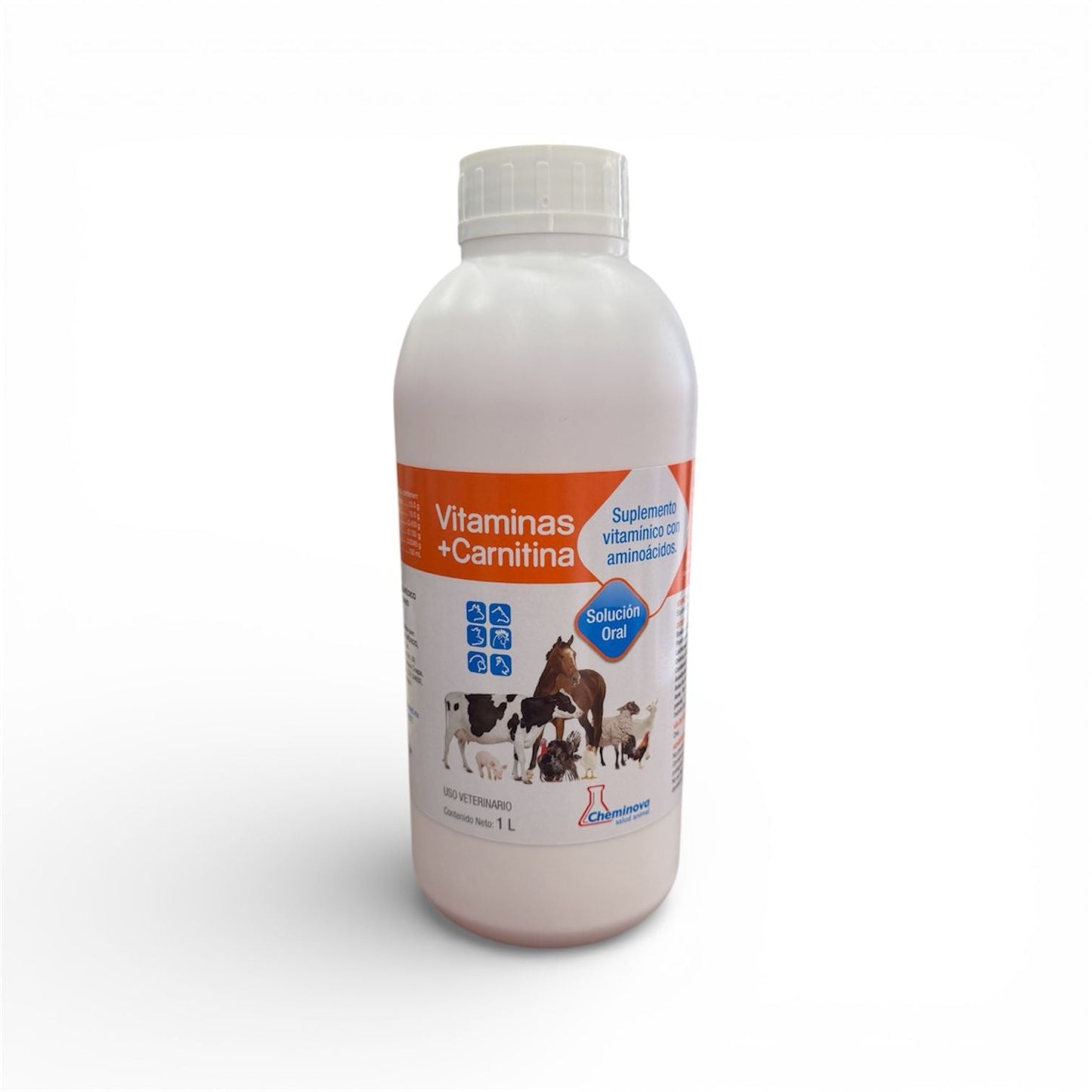 Vitamins + Carnitine
